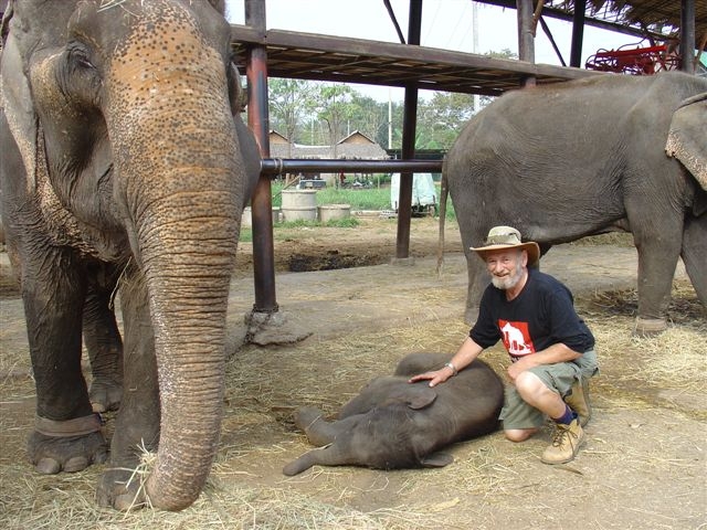 Love in a Thai Elephant Sanctuary